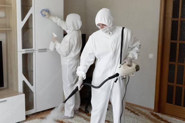 Best Industrial Mold Remediation in Mountainair, NM