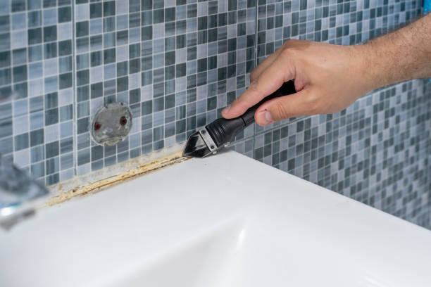 Best Residential Mold Remediation in Mountainair, NM